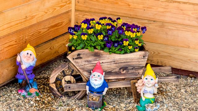 Gnomes