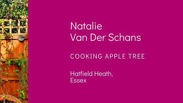 Natalia Van Der Schans