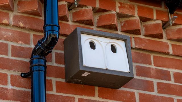 Bird Boxes