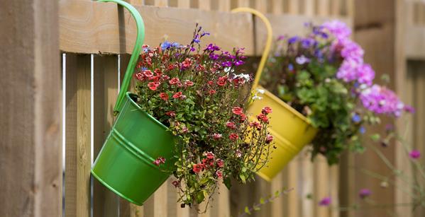 Gate Flowers 2