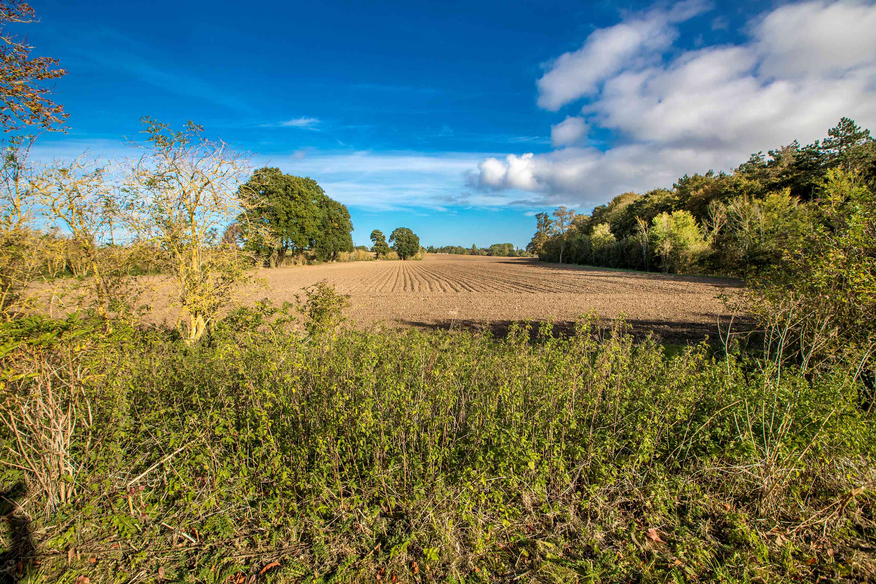 Countryside views with blue skies