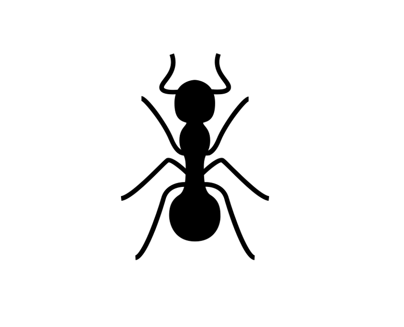 Ants
