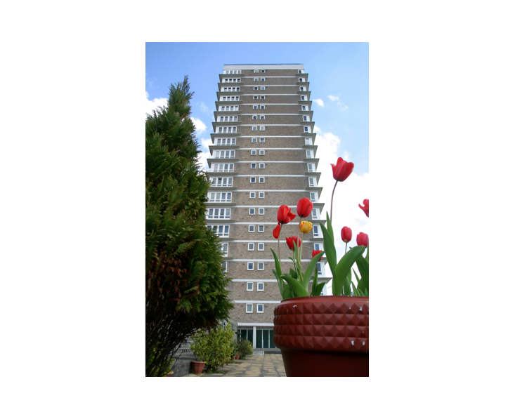 Screenshot 2025 10 31 101819