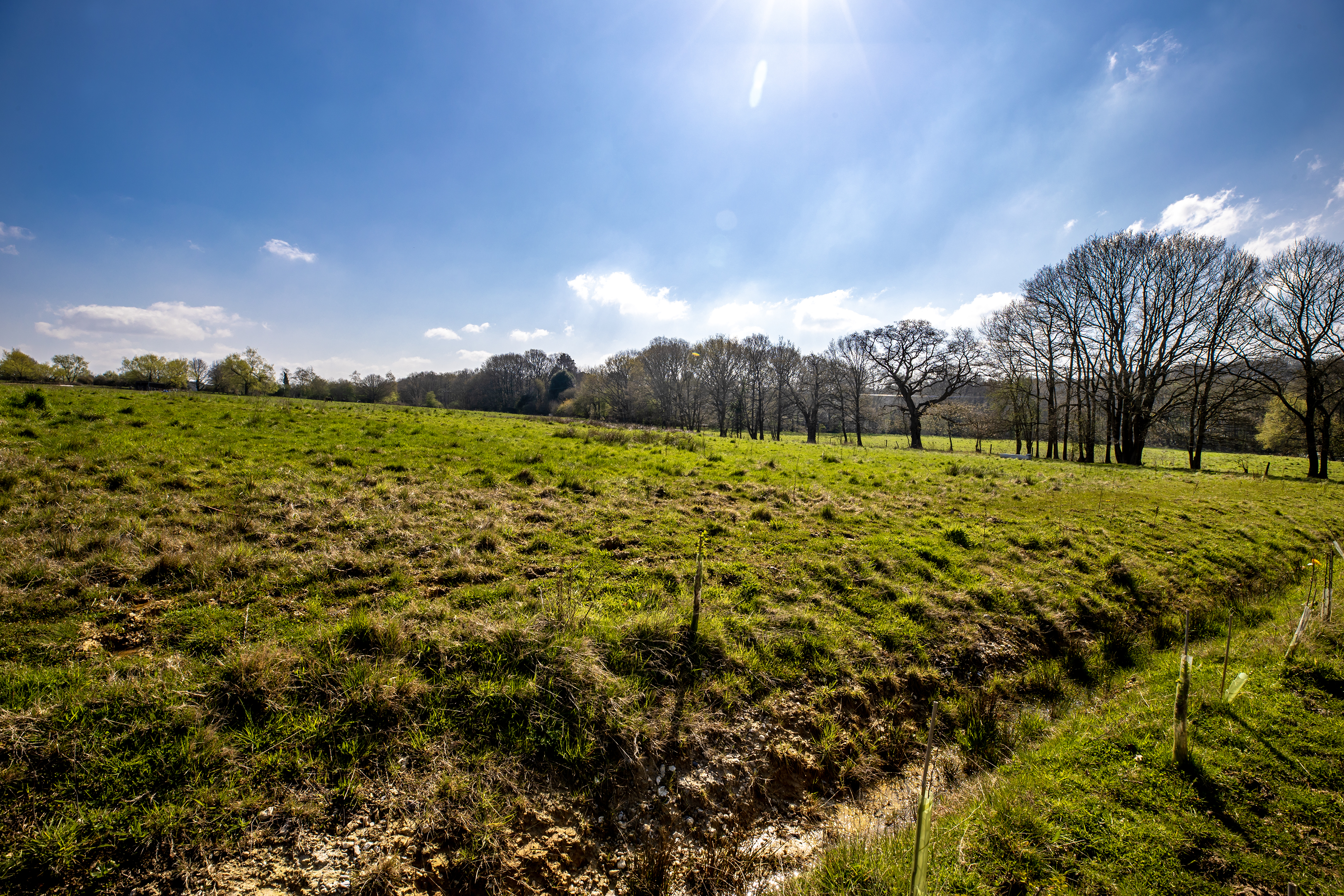 Pamber Rural Area
