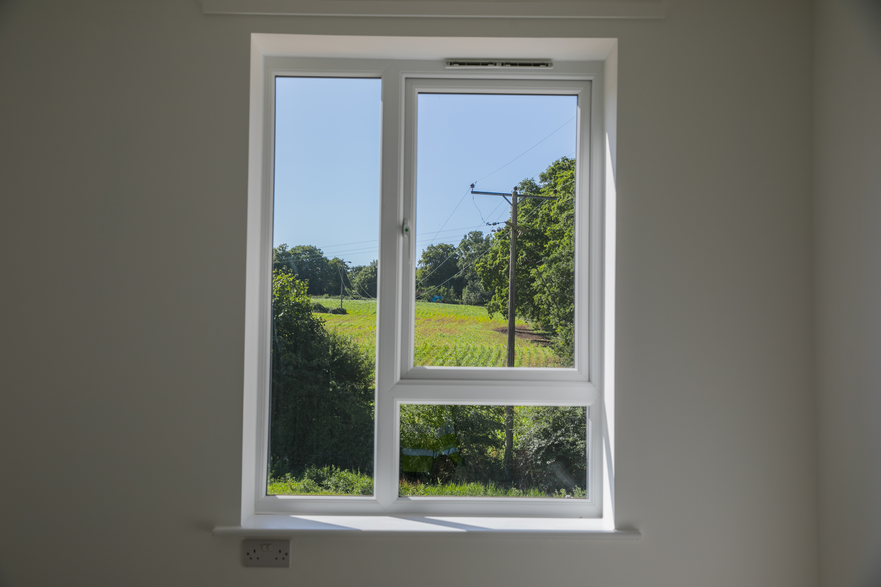 Window Overlooking Greenery